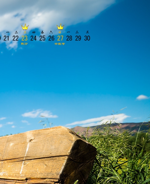 头条号生活领域怎么做