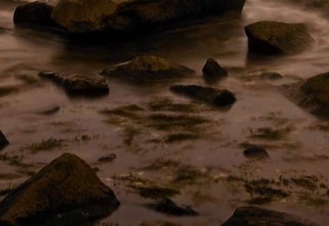 粉象生活怎么确认收货提现