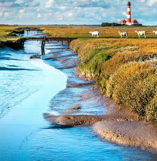 潮州粉象生活电话