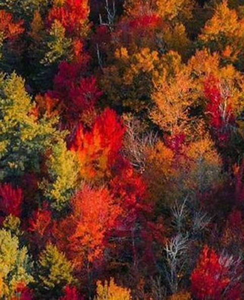 粉象生活优惠券真的便宜吗