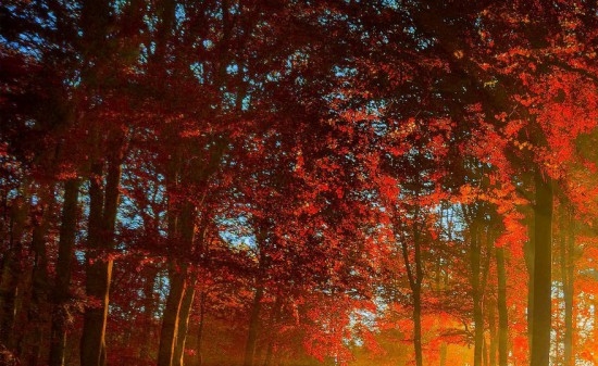 粉象生活到底靠谱吗