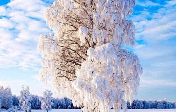 菏泽交警服务热线电话