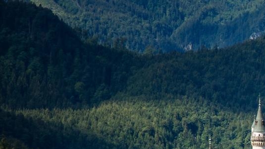 好省和高佣联盟哪个更好