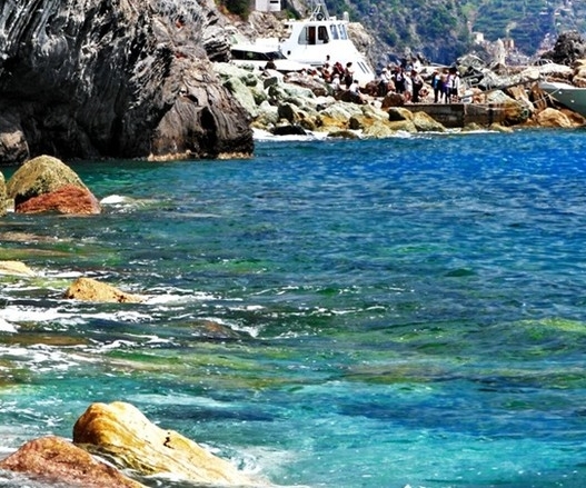 粉象生活怎么赚钱教程