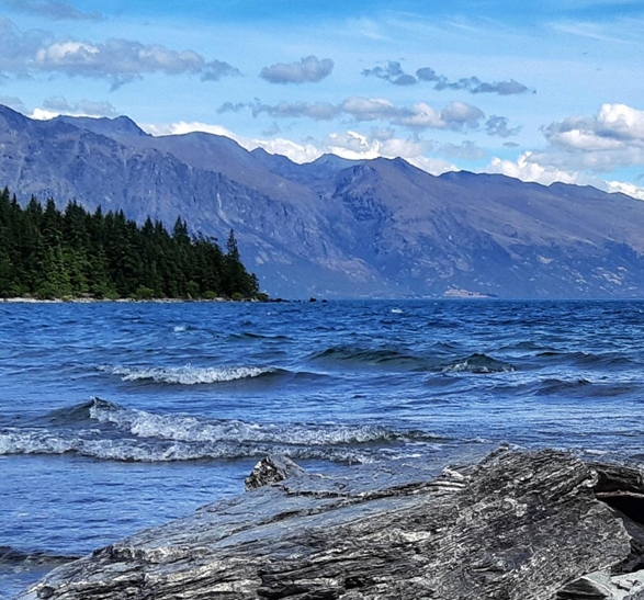 粉象生活VIP垃圾