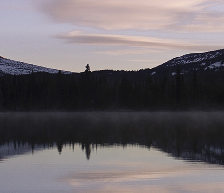 菏泽粉象生活代理咨询电话