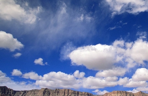 珠海粉象生活合伙人