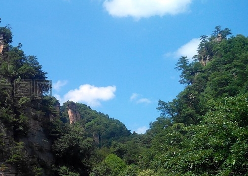 粉象生活怎么赚钱的