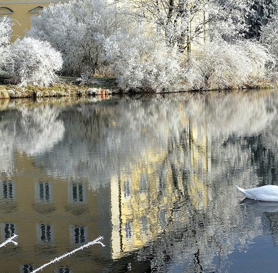粉象生活如何找隐藏优惠券