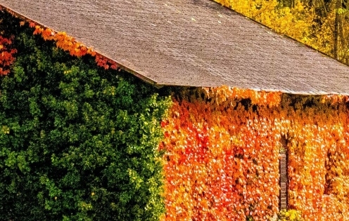 通化粉象生活软件