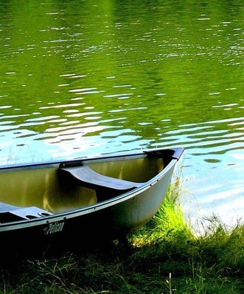 淘宝怎么授权粉象生活