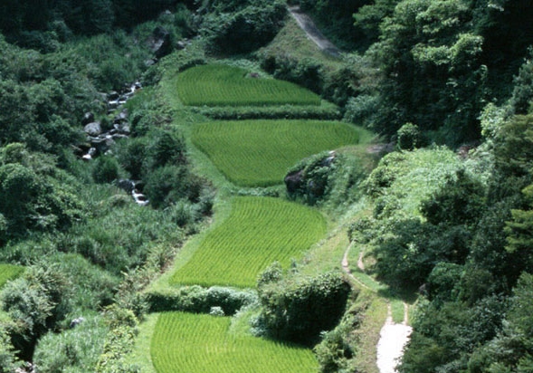 分享日记和粉象生活哪个好
