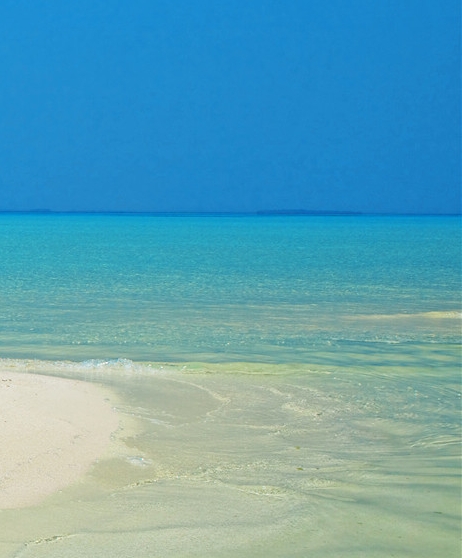 粉象生活推广活动方案