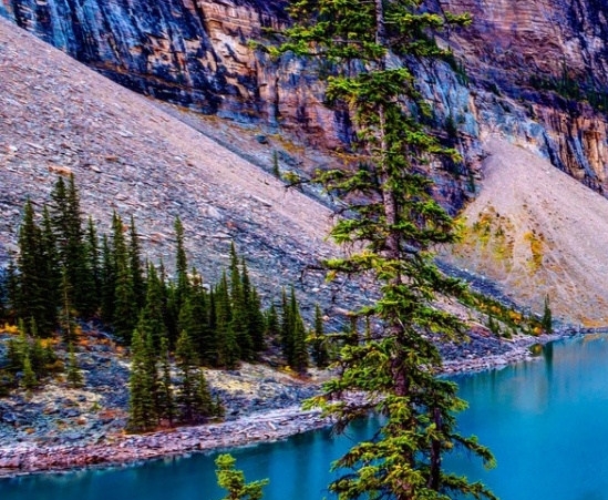 粉象生活怎么推广引流加粉丝