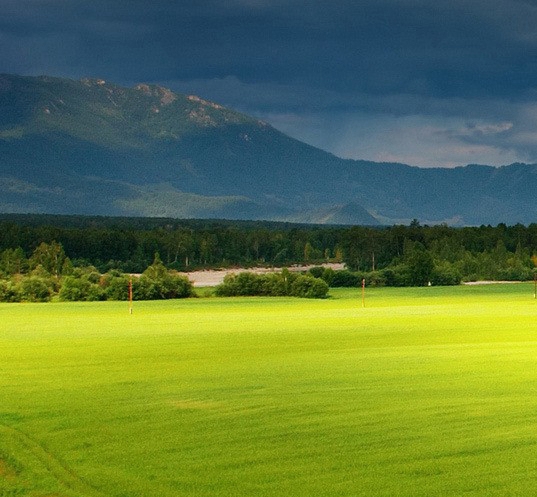 粉象生活到底靠谱吗