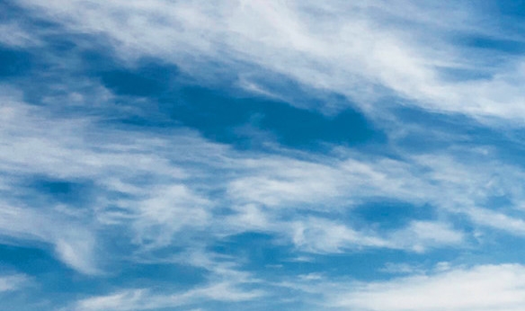 粉象生活的目标