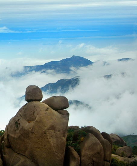 粉象生活打卡分现金