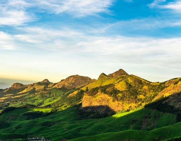 粉象生活产品发到闲鱼上