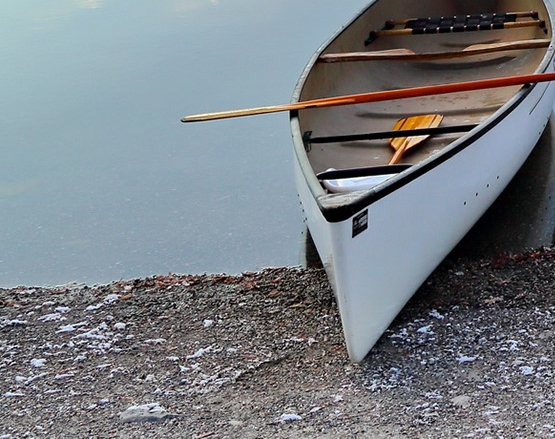 江门粉象生活代理