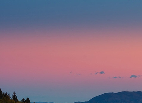 粉象生活游客身份