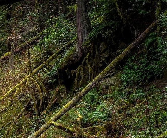 粉象生活app最新版