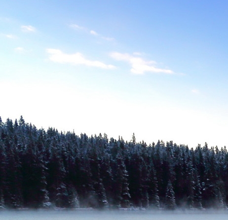 湖北口碑粉象生活是什么