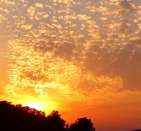 泉州短视频推广涨粉