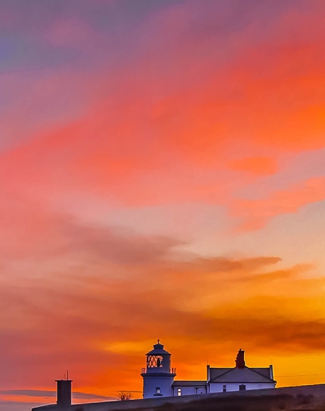 如何认识粉象生活