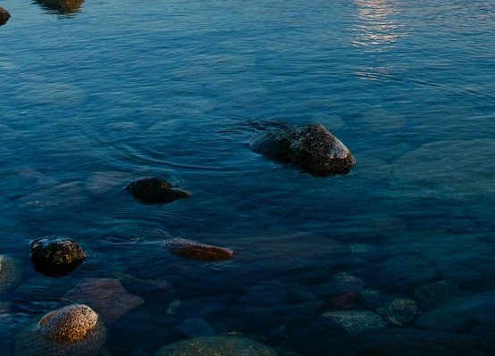 粉象生活粉丝怎么增加