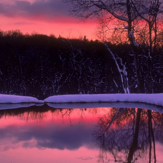 粉象生活bm战队老大谁