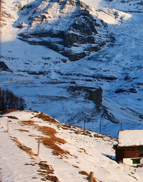 粉象生活怎么找平台客服
