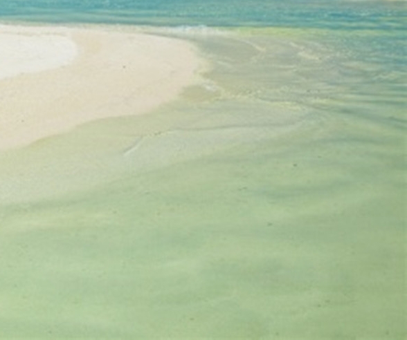 浙江创新粉象生活推广