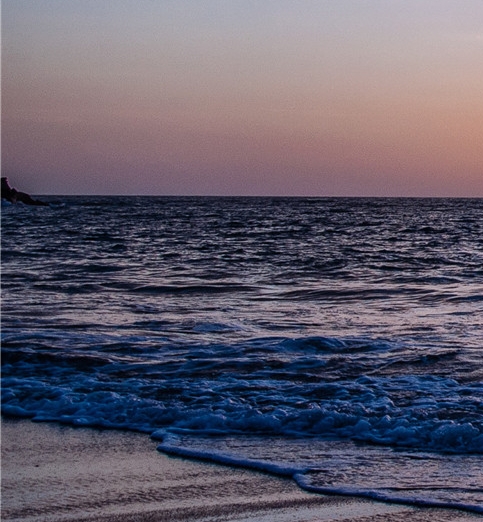 粉像生活的粉象生活