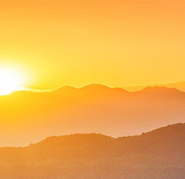 粉象生活保护童心