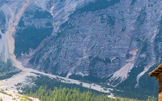 广东粉象生活收入