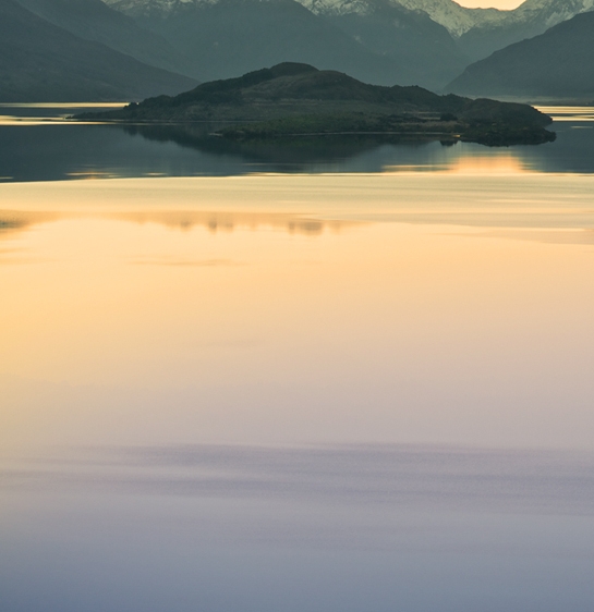 粉象生活下单返还