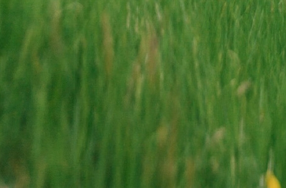 沈阳推广平台哪个好