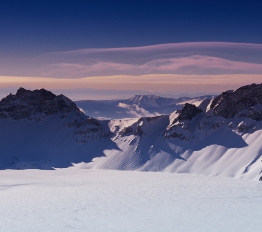 粉象生活订单怎么退款