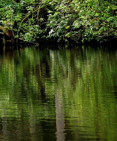 宁波文旅生活旅游年卡