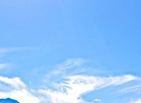 粉象生活是返利网吗