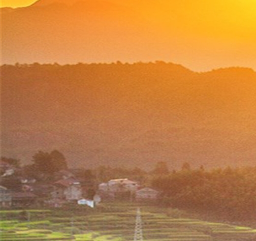 茂名粉象生活如何使用