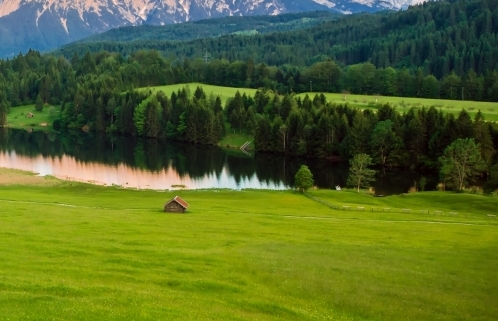 粉象生活合法吗