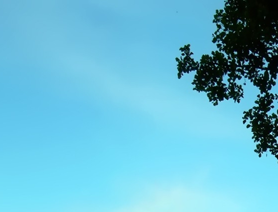 杭州粉象生活公司