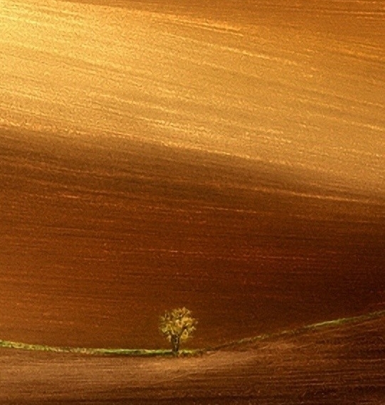 粉象生活邀请码