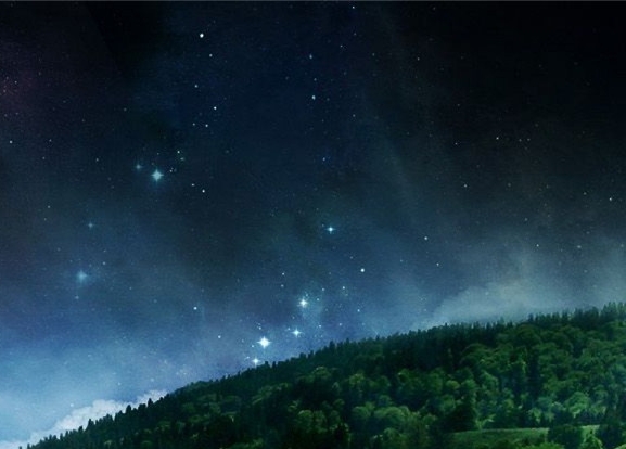 粉象生活怎么才能邀请好友