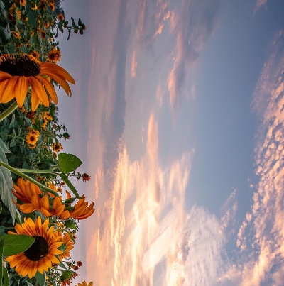 打工生活模拟器彩票中奖