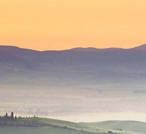 粉象生活真实收入