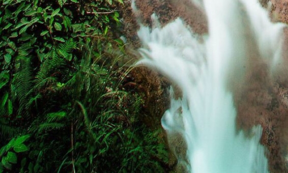 怎么推粉象生活