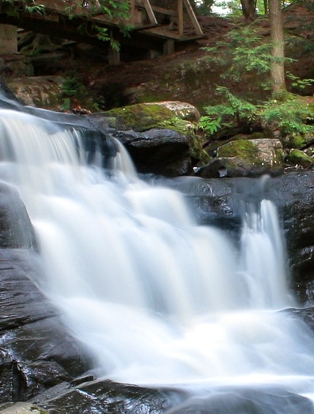 粉象怎么更改邀请人