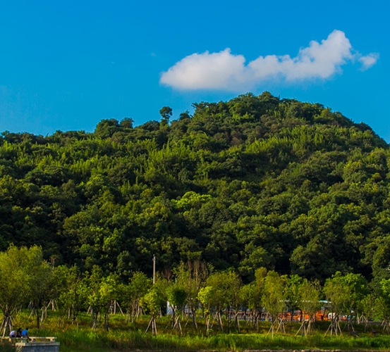 粉象生活创始人是谁